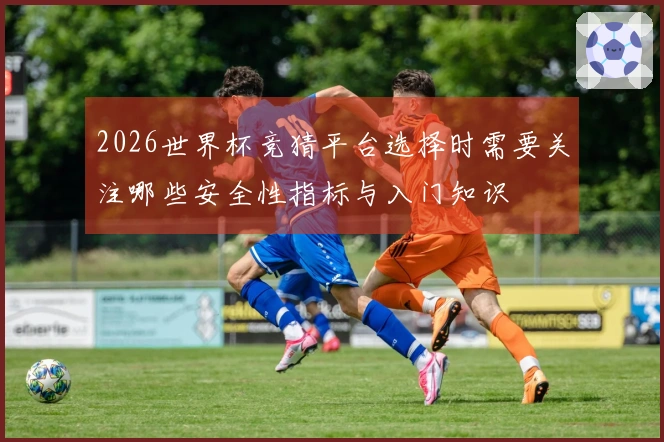 2026世界杯竞猜平台选择时需要关注哪些安全性指标与入门知识