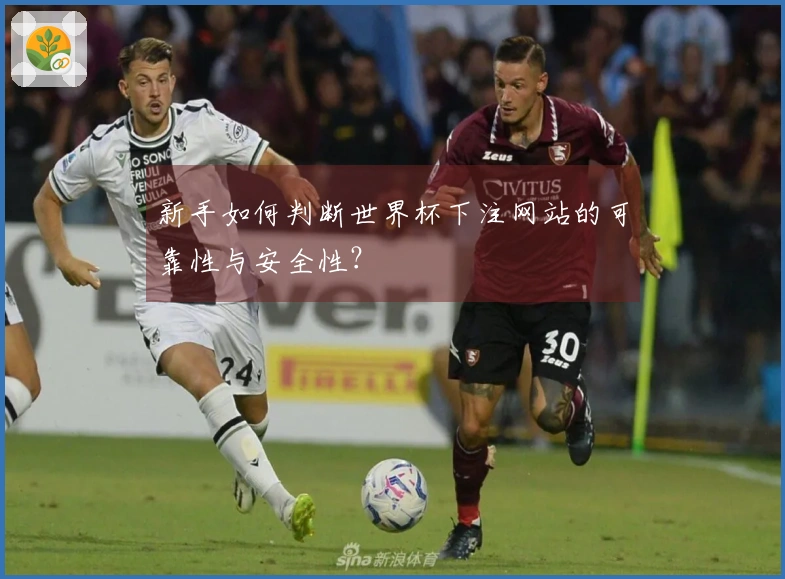 新手如何判断世界杯下注网站的可靠性与安全性？