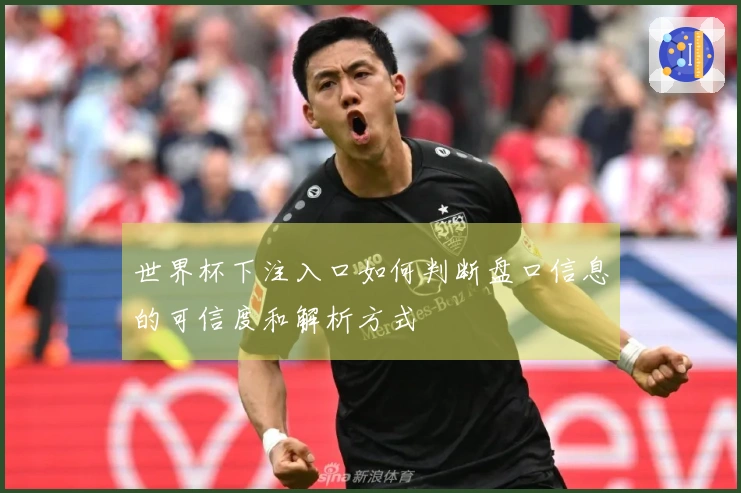 世界杯下注入口如何判断盘口信息的可信度和解析方式