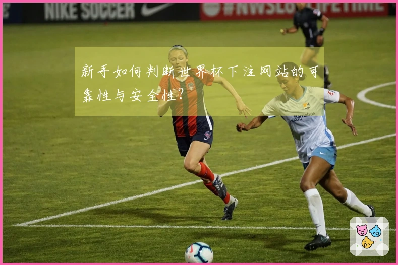 新手如何判断世界杯下注网站的可靠性与安全性？