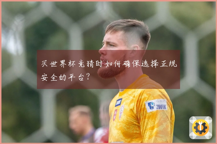 买世界杯竞猜时如何确保选择正规安全的平台？